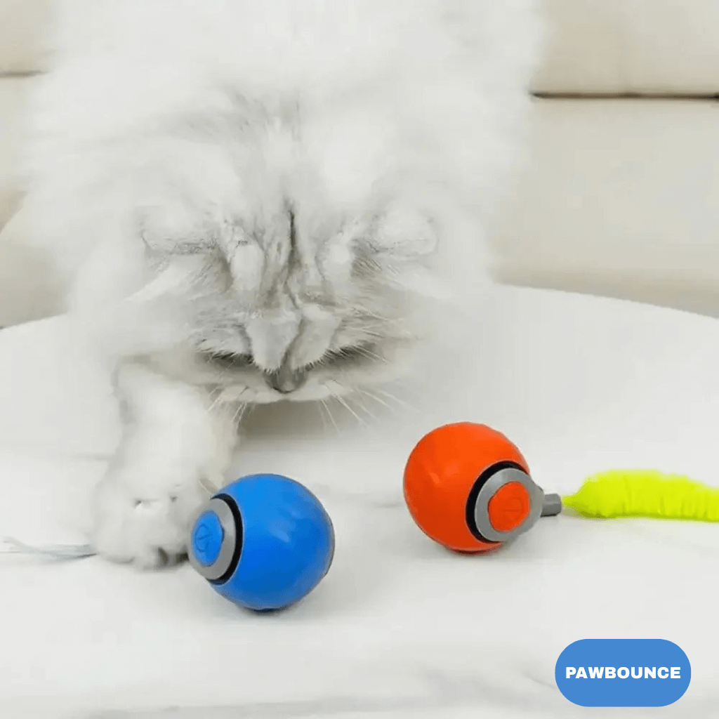 PAWBOUNCE TAIL 2.0 - PawBounce